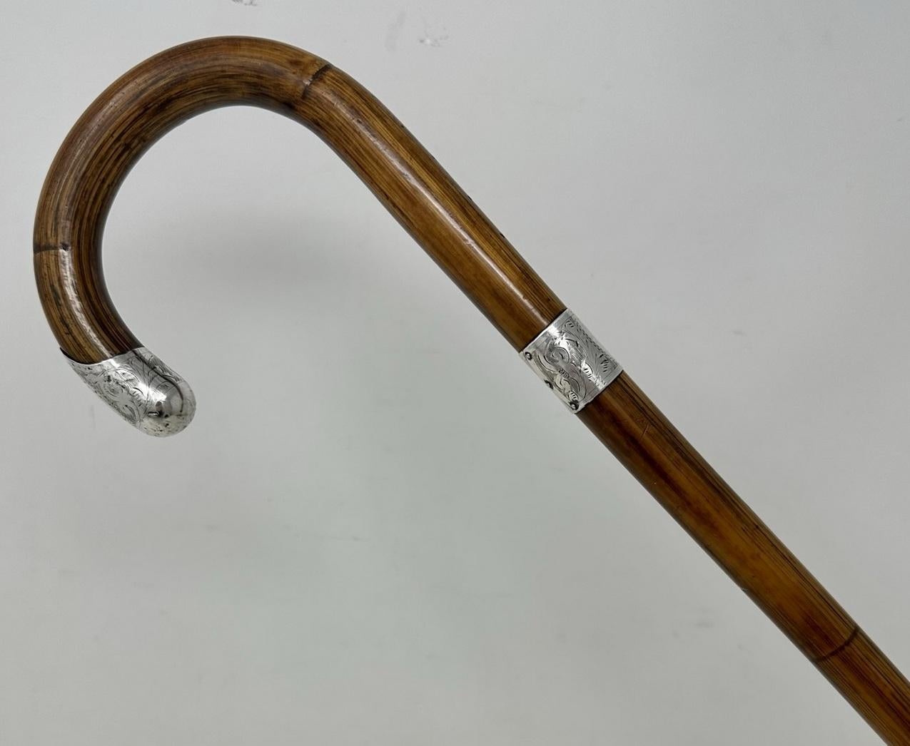 cane with horn and mirror