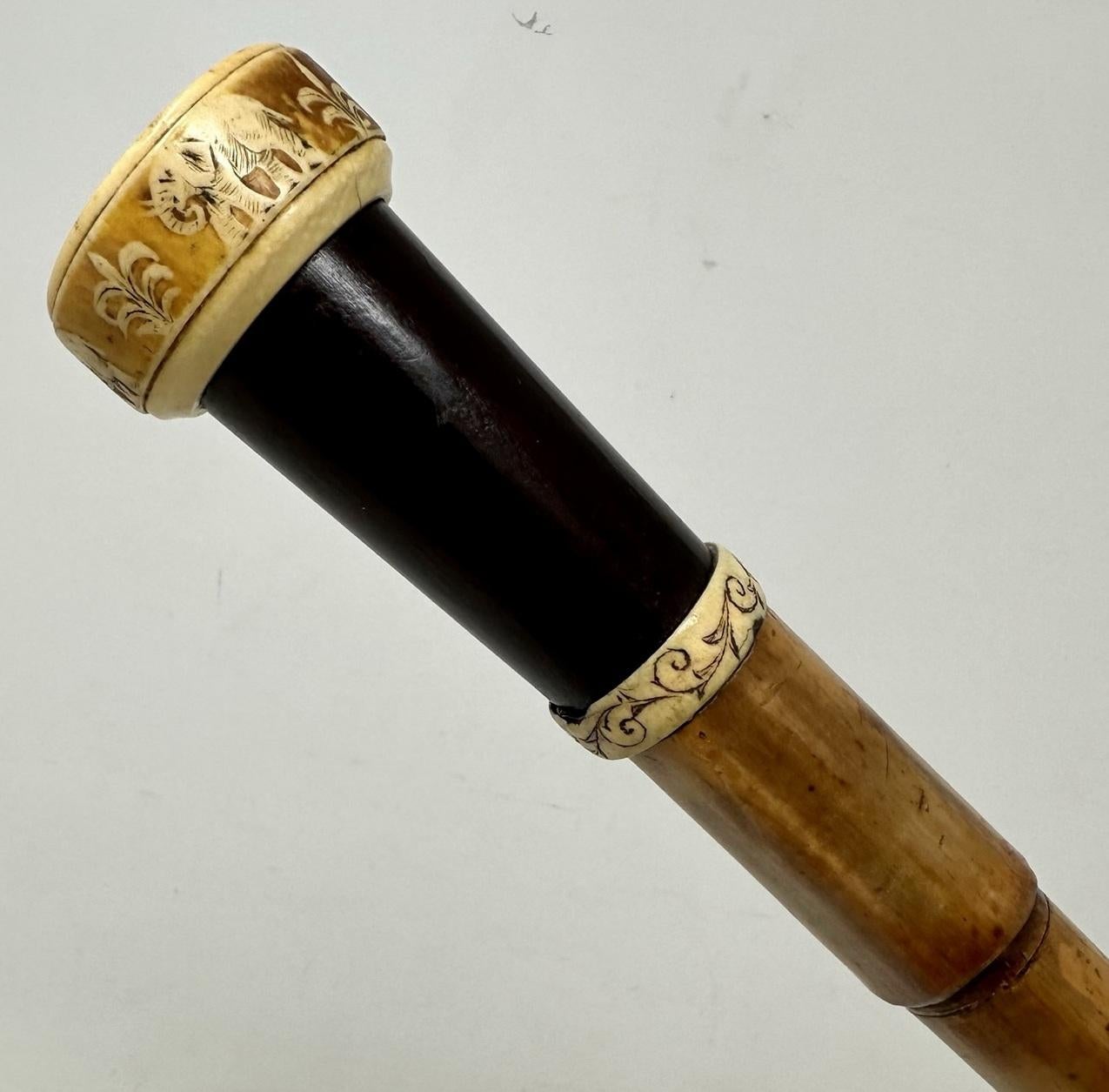 Edwardian Antique Vintage Lady's Gentleman's Wooden Malacca Walking Swagger Stick Cane 19C For Sale