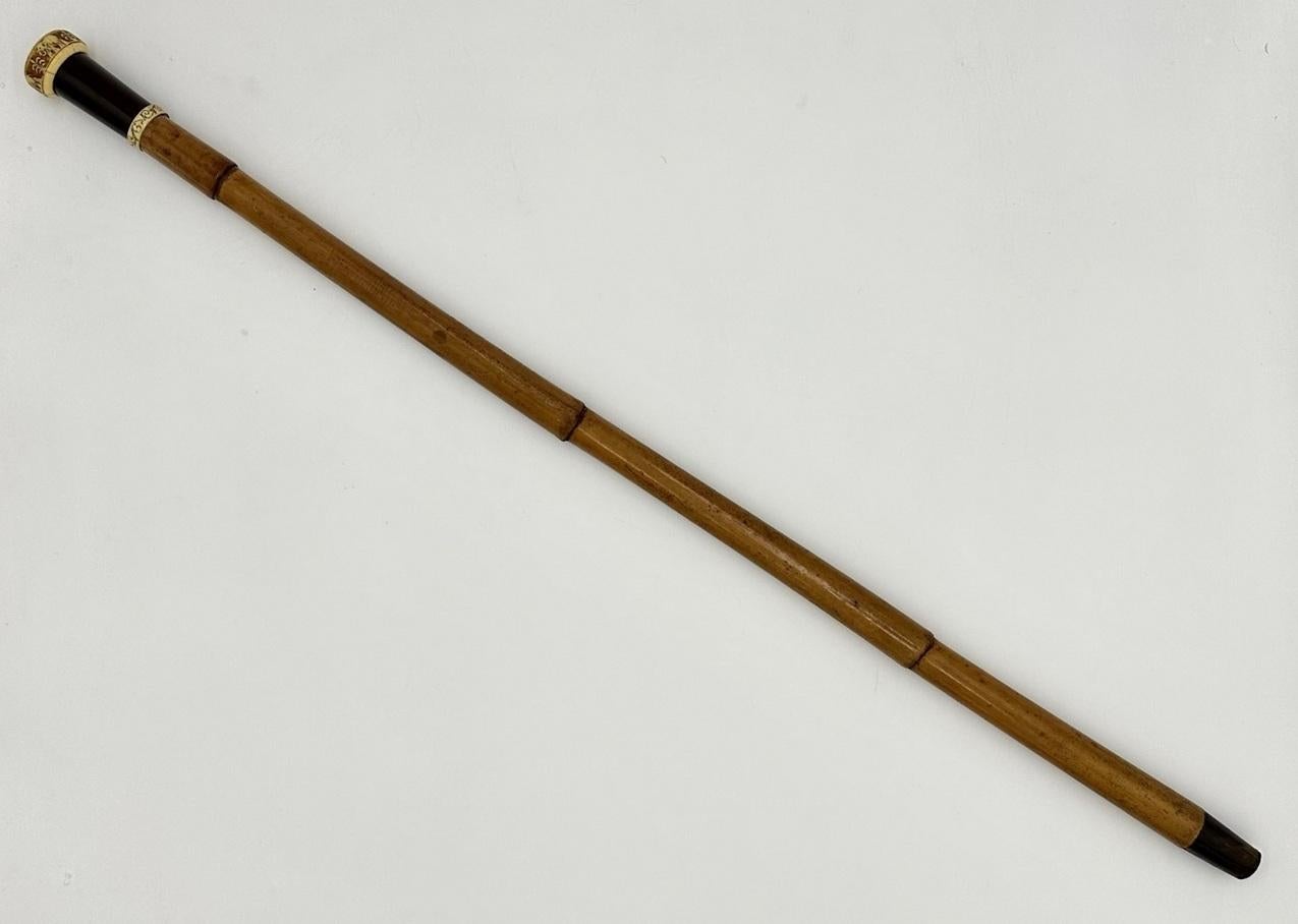 19th Century Antique Vintage Lady's Gentleman's Wooden Malacca Walking Swagger Stick Cane 19C For Sale