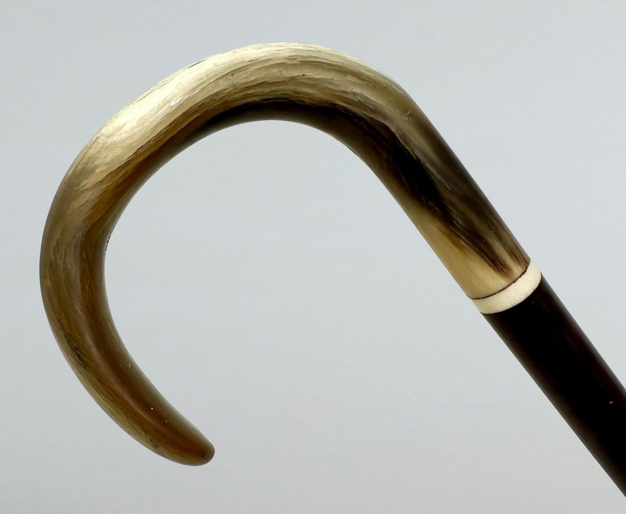 19th Century Antique Vintage Lady's Gentleman's Snakewood Wooden Walking Stick Dress Cane For Sale