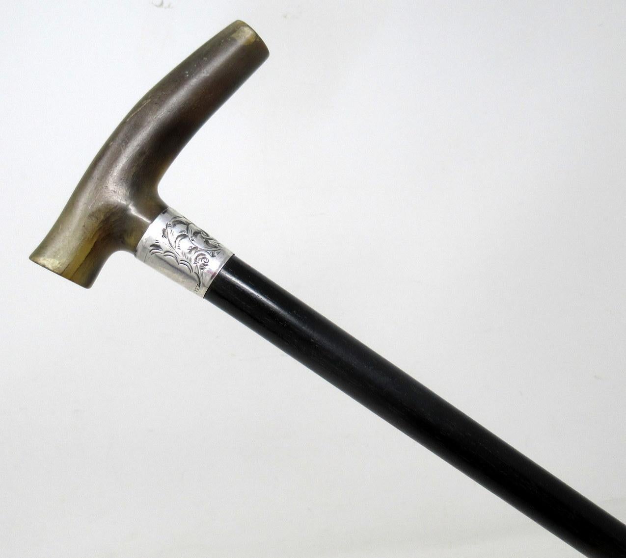 Antique Vintage Ladys Walking Stick Sterling Silver Collar Cow Horn Handle 1927  In Good Condition In Dublin, Ireland