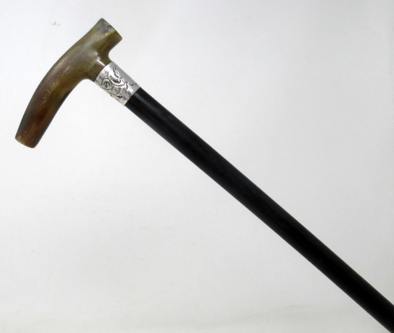 Stylish ebonised lady’s or gentleman’s walking stick with cow horn tau shaped handle and embossed sterling silver collar, complete with its original polished brass ferrule, which is a little worn. 

Mark of T. Chetland & Co. Assay mark Birmingham