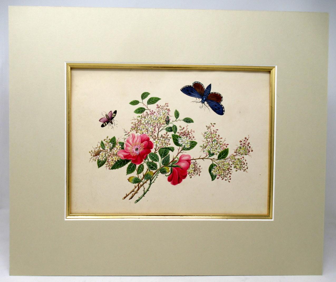 Victorian Antique Vintage Pair of English Watercolor Paintings Still Life of Flowers Gilt