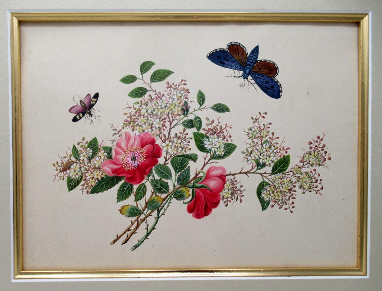 19th Century Antique Vintage Pair of English Watercolor Paintings Still Life of Flowers Gilt