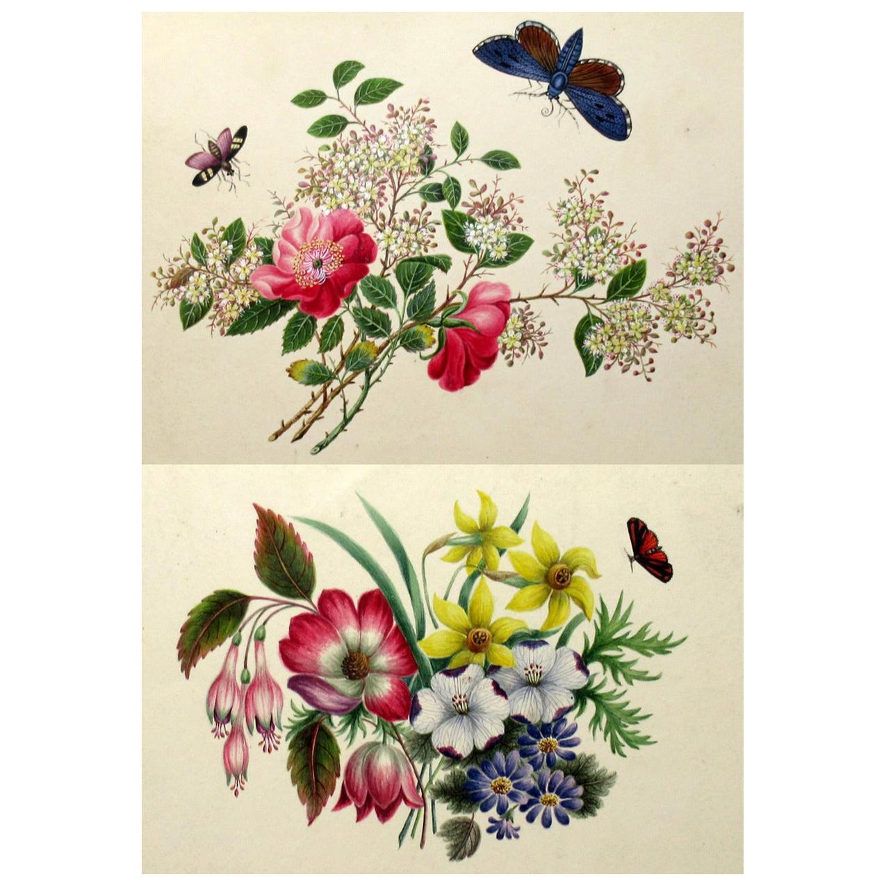 Antique Vintage Pair of English Watercolor Paintings Still Life of Flowers Gilt