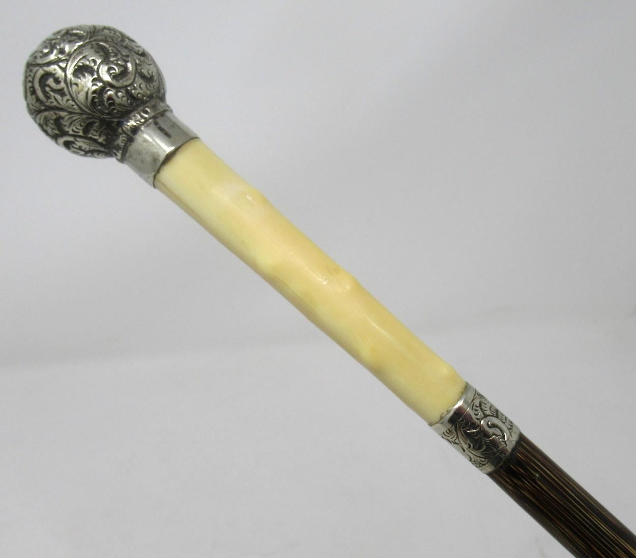 Fine quality well figured walking cane with highly decorative embossed silver plated ball grip above a carved boar tusk insert which is ending on a banded Partridgewood shaft, late 19th century. 

The later plain metal ferrule is polished brass.