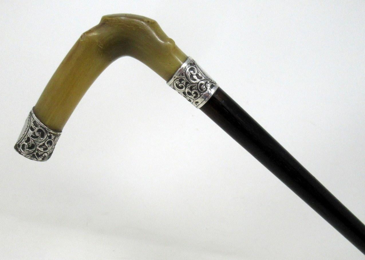 English Antique Vintage Walking Stick Cane Ebonised Sterling Silver Handle 1906