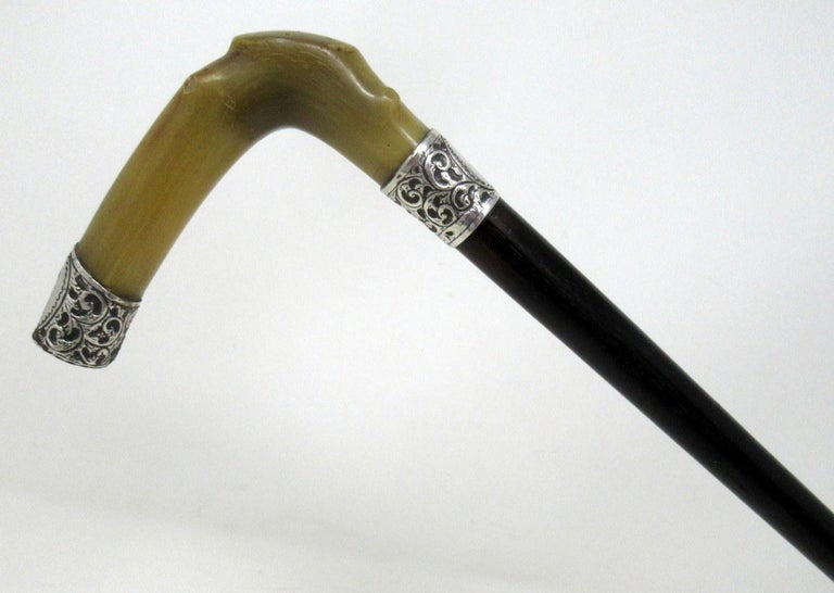 Antique Vintage Walking Stick Cane Ebonised Sterling Silver Cow Horn