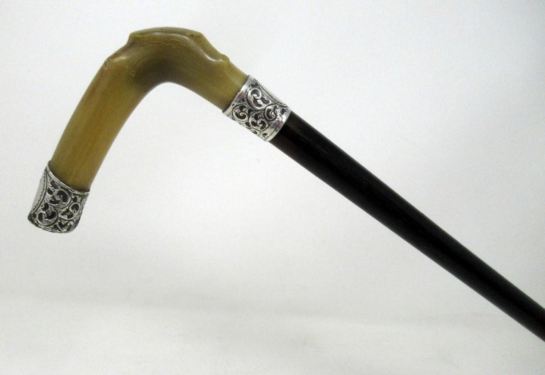 Antique Vintage Walking Stick Cane Ebonised Sterling Silver Cow Horn