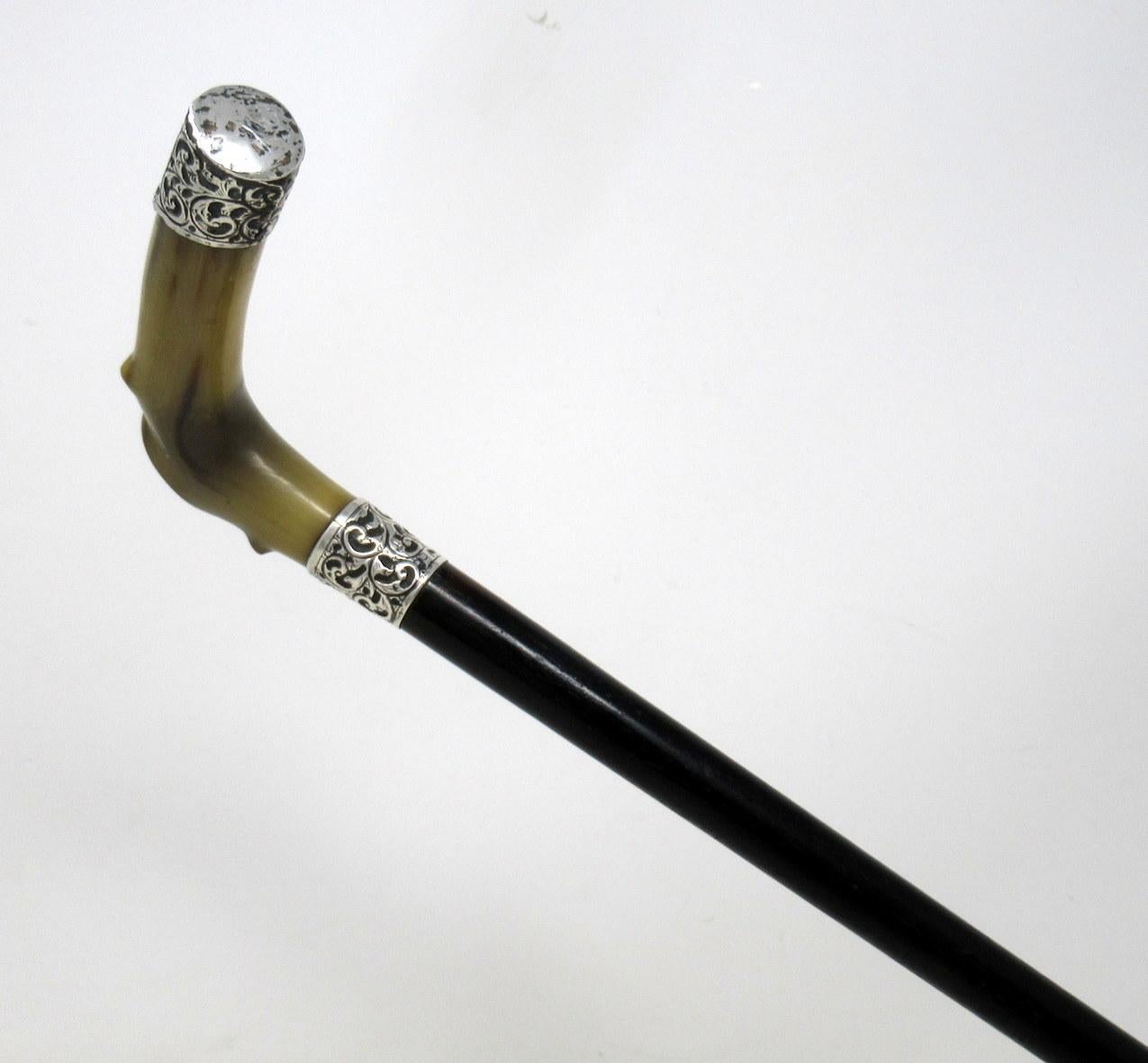 Antique Vintage Walking Stick Cane Ebonised Sterling Silver Handle 1906 2