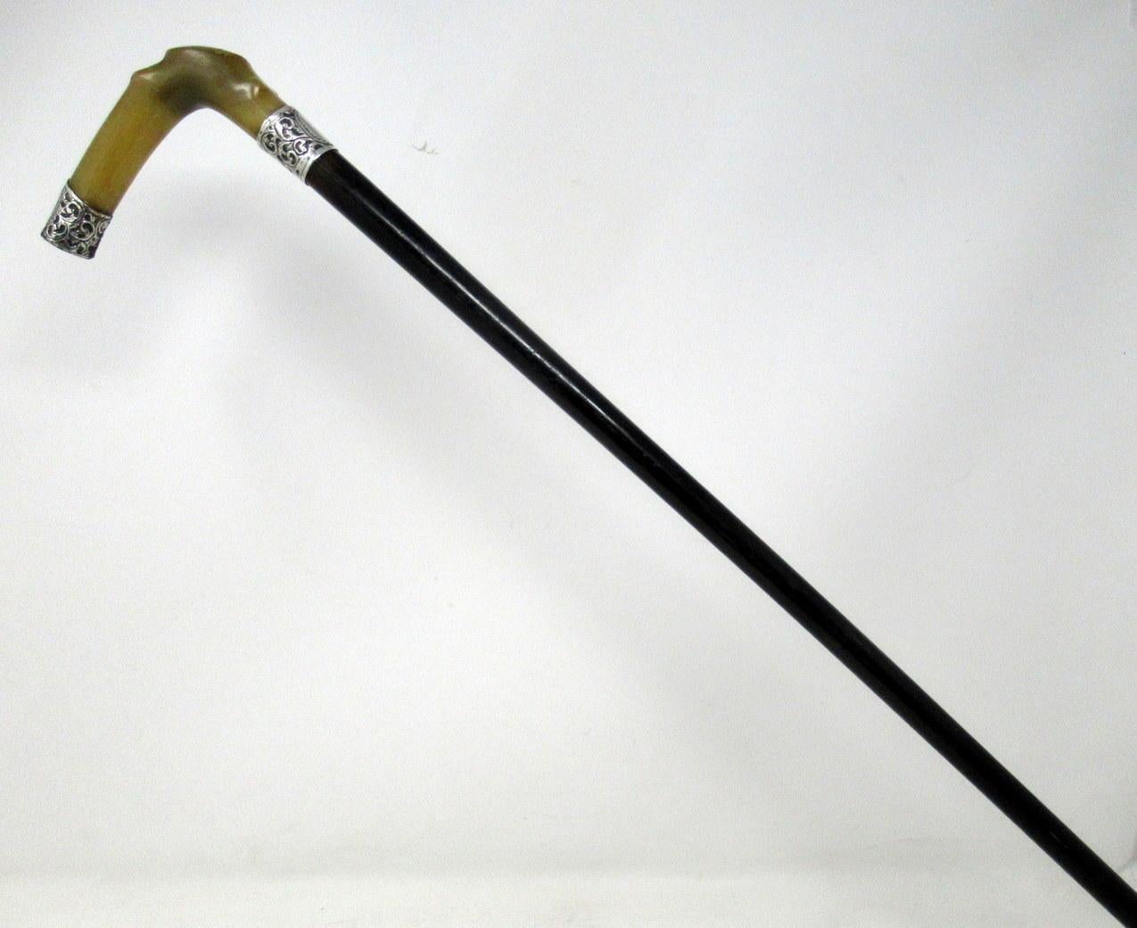 Antique Vintage Walking Stick Cane Ebonised Sterling Silver Handle 1906 3