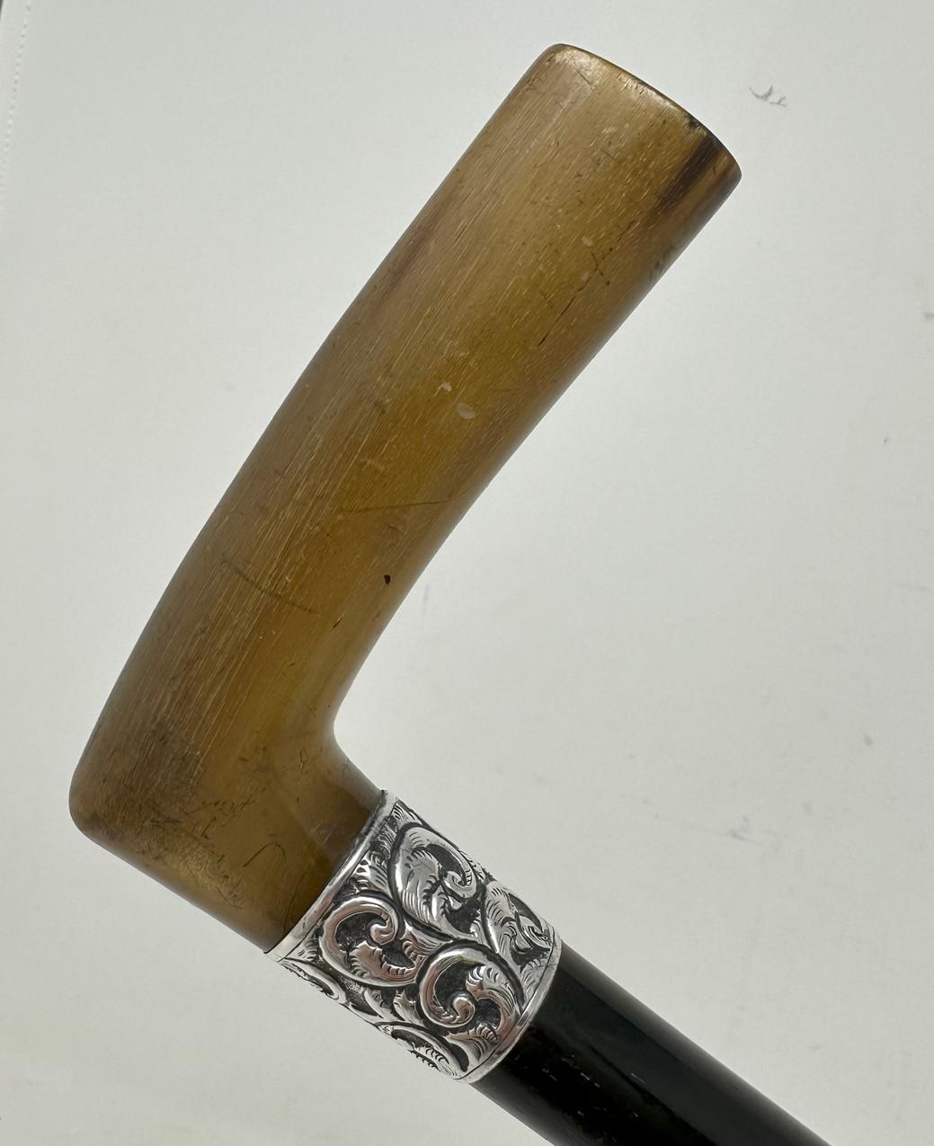 Antique Vintage Walking Stick Cane Wooden Sterling Silver Cow Horn Handle 1889  In Good Condition In Dublin, Ireland