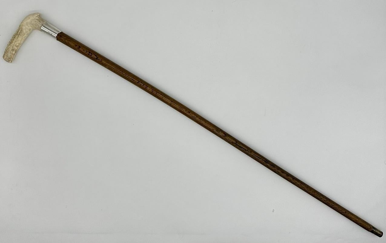 Antique Vintage Wooden Stag Antler Horn Walking Stick Cane Sterling Silver 1899  4