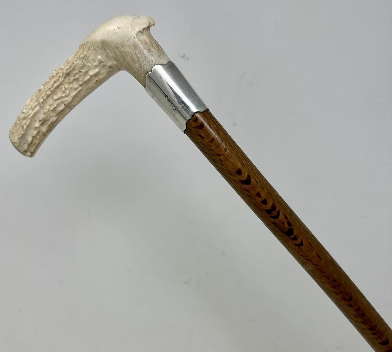 Edwardian Antique Vintage Wooden Stag Antler Horn Walking Stick Cane Sterling Silver 1899  For Sale
