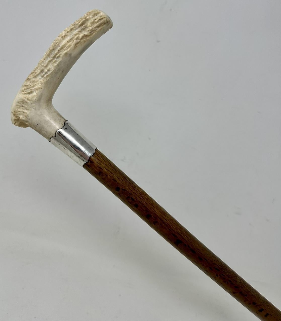 Antique Vintage Wooden Stag Antler Horn Walking Stick Cane Sterling Silver 1899  In Good Condition In Dublin, Ireland