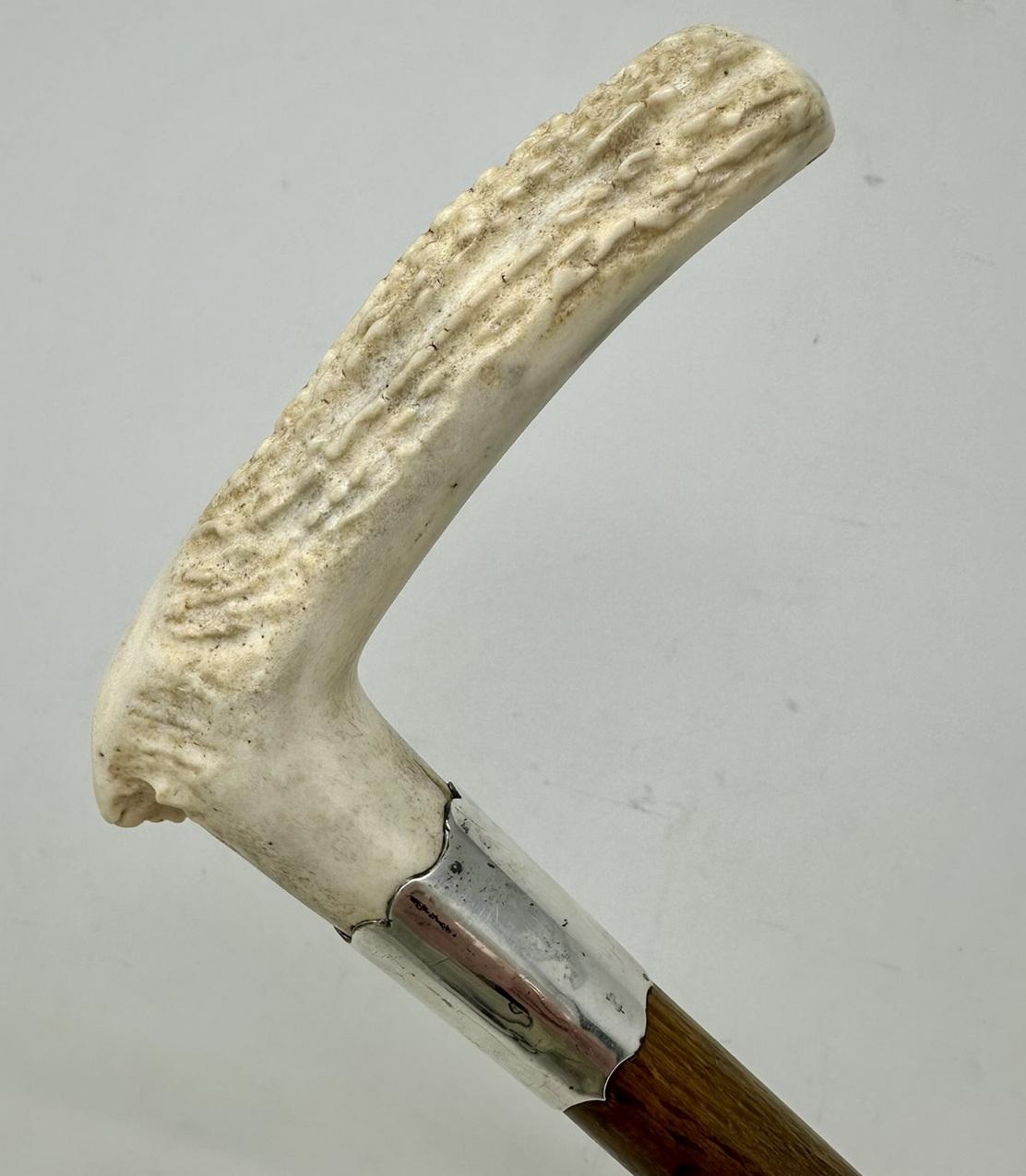 19th Century Antique Vintage Wooden Stag Antler Horn Walking Stick Cane Sterling Silver 1899  For Sale