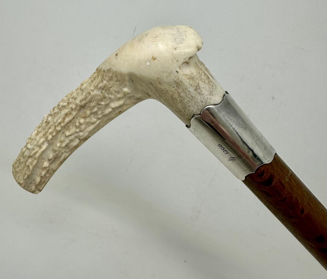Argent sterling Antique Vintage Wooden Stag Antler Horn Walking Stick Cane Sterling Silver 1899  en vente