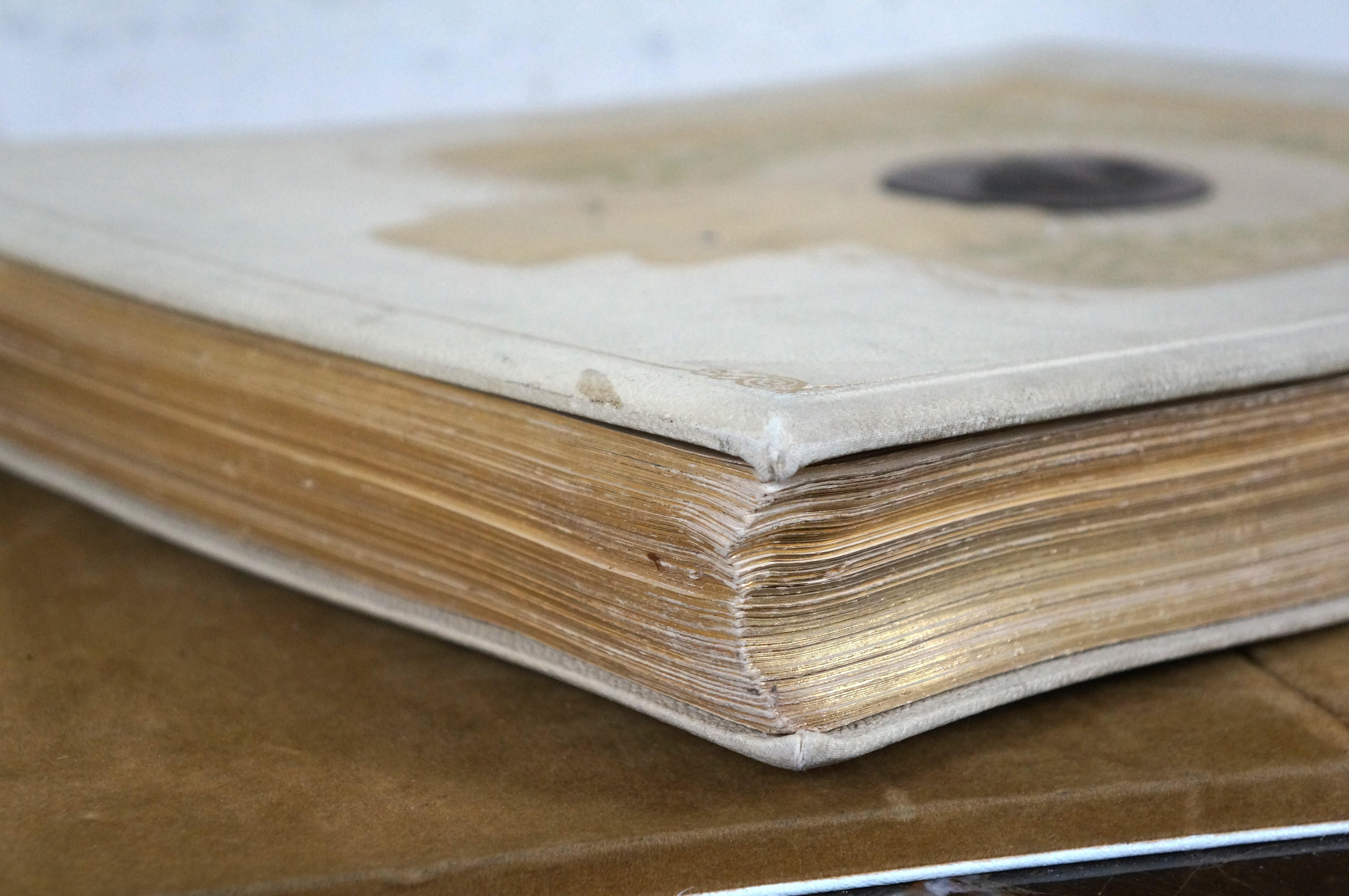 Papier Antique Viribus Unitis Kniha o Cisari Livre de l'empereur Franz Joseph I 18