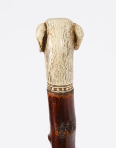 Antique Vizsla Dog Head Walking Cane Stick 93cm 36.5inches 19th Century
