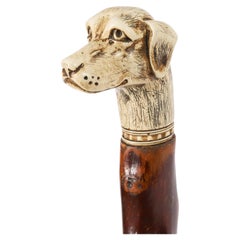 Antique Vizsla Dog Head Walking Cane Stick 93cm 36.5inches 19th Century