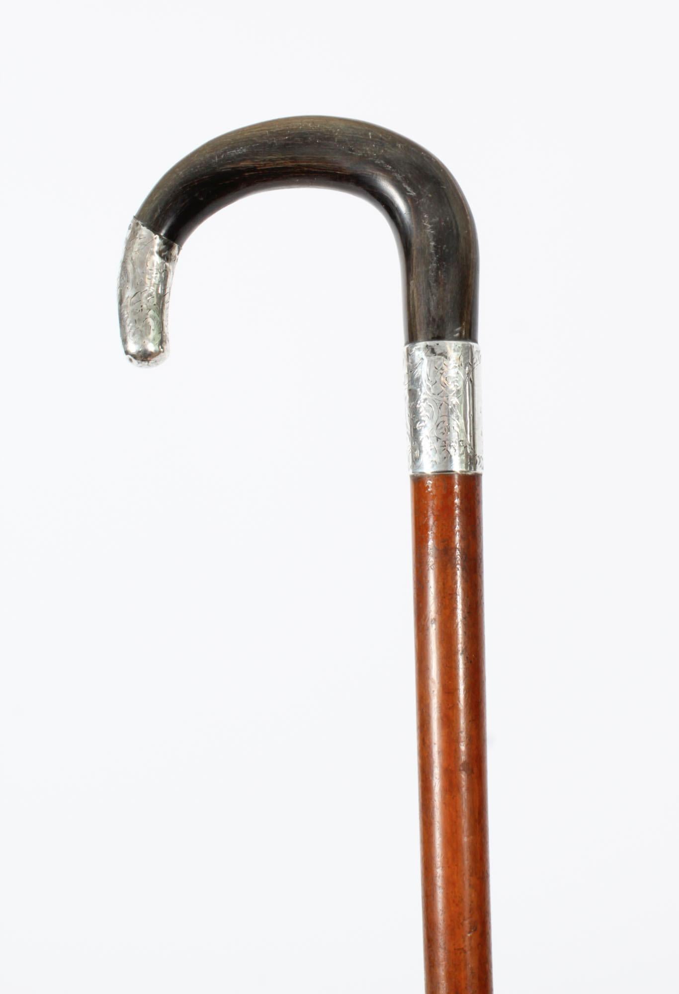 This is a beautiful antique Victorian Rhinoceros horn handled walking stick, bearing hallmarks for Birmingham 1893 and the makers mark JH.
 
The handle is carved in a Shepherds crook shape and features an elegant  silver collar and tip with a 