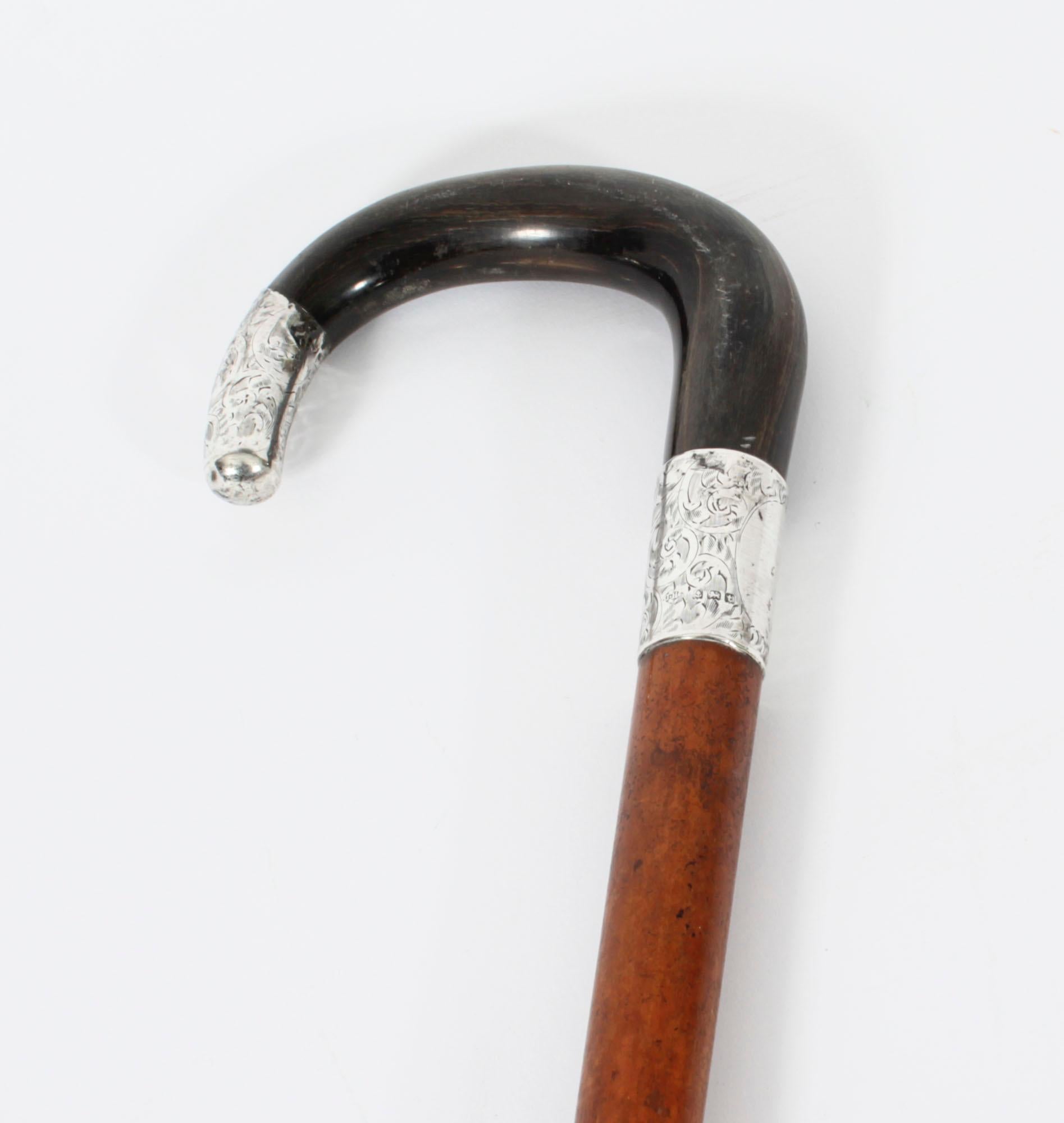 Victorian Antique Walking Cane Stick Rhinoceros Horn & Silver Mounts 1893 19th C