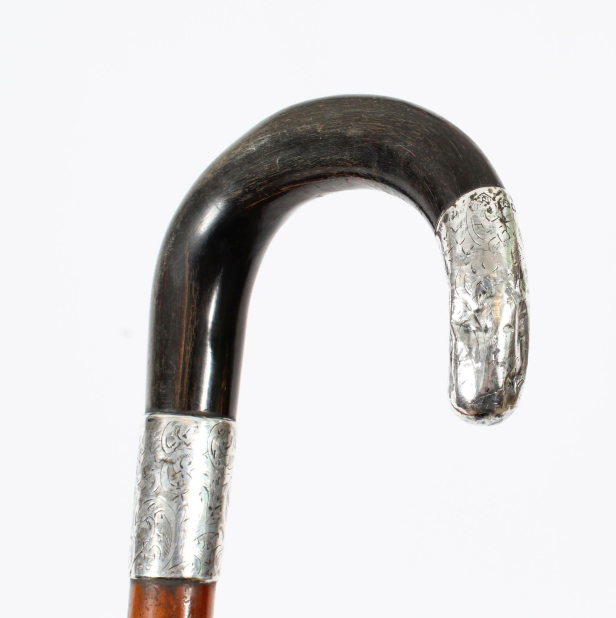 English Antique Walking Cane Stick Rhinoceros Horn & Silver Mounts 1893 19th C