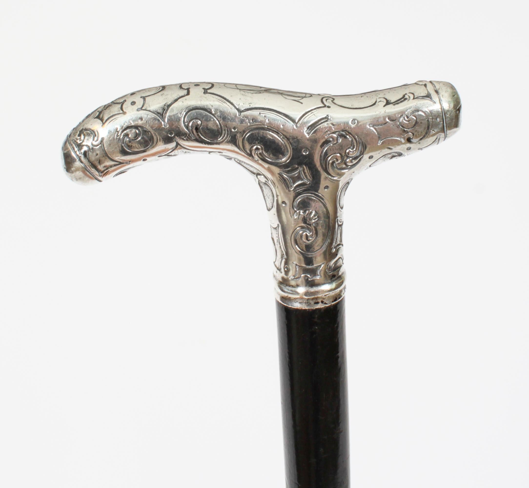Antique Walking Cane Stick Silver Handle 19th Century 4