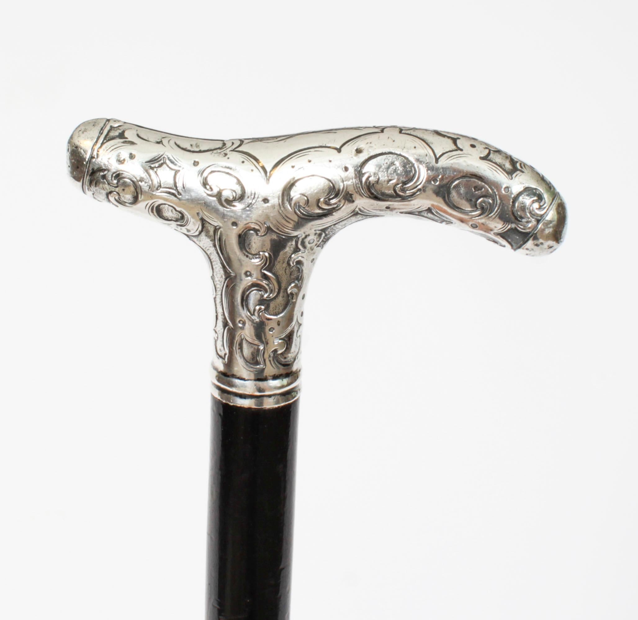 Antique Walking Cane Stick Silver Handle 19th Century 5