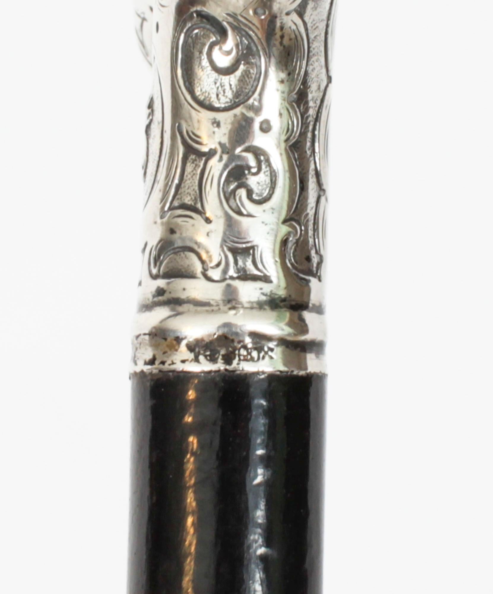 Antique Walking Cane Stick Silver Handle 19th Century 1