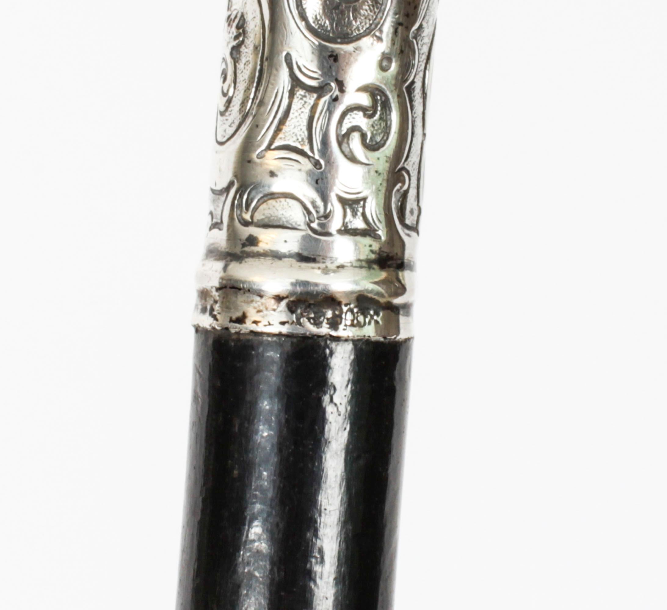 Antique Walking Cane Stick Silver Handle 19th Century 2