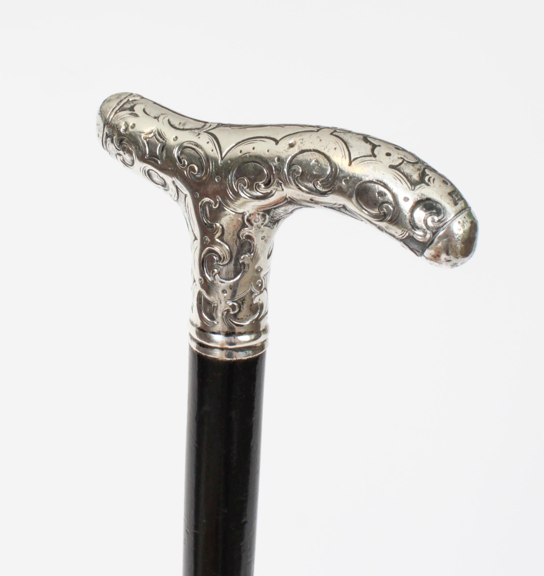 Antique Walking Cane Stick Silver Handle 19th Century 3