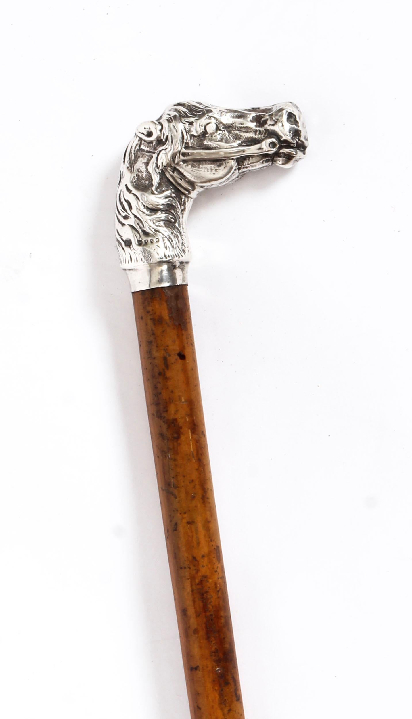 Antique Walking Cane Stick Sterling Silver Horse Head Handle 1888, 19th Century 1