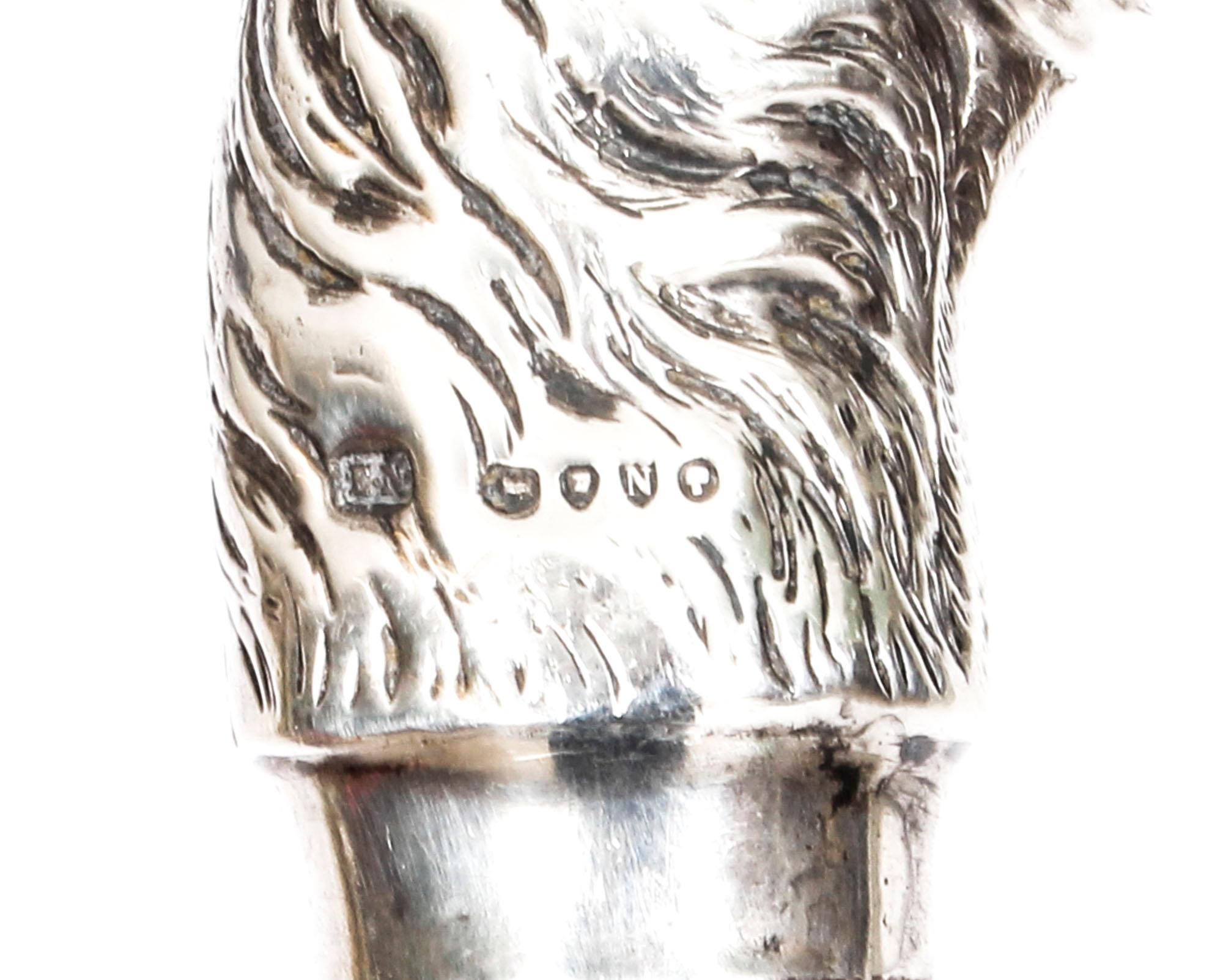 Late 19th Century Antique Walking Cane Stick Sterling Silver Horse Head Handle 1888, 19th Century