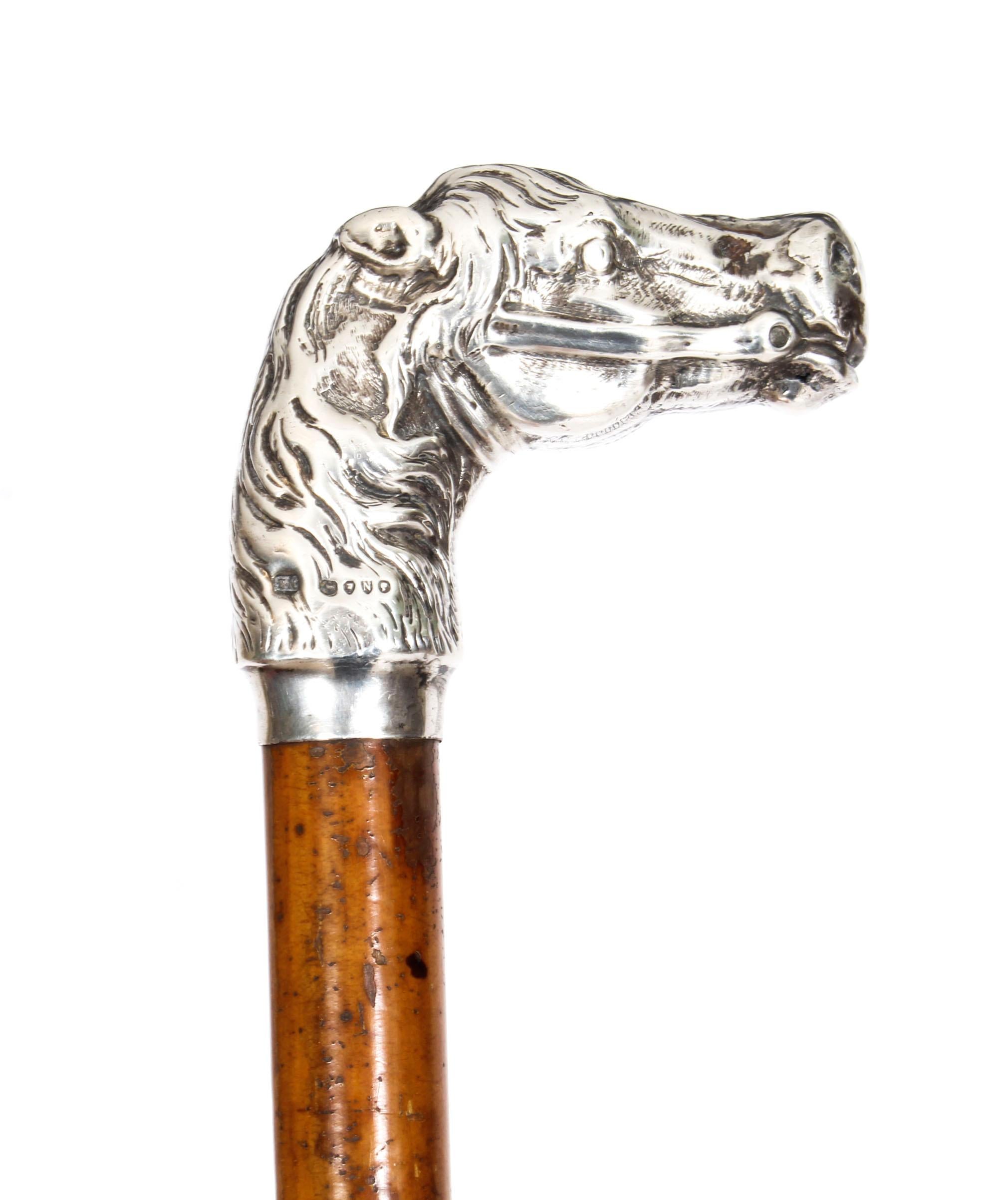 This is a truly magnificent and rare antique Victorian sterling silver mounted walking cane, 1888 in date.
 
This superb decorative walking cane has a splendid chased sterling silver handle in the form of a horse's head by the renowned