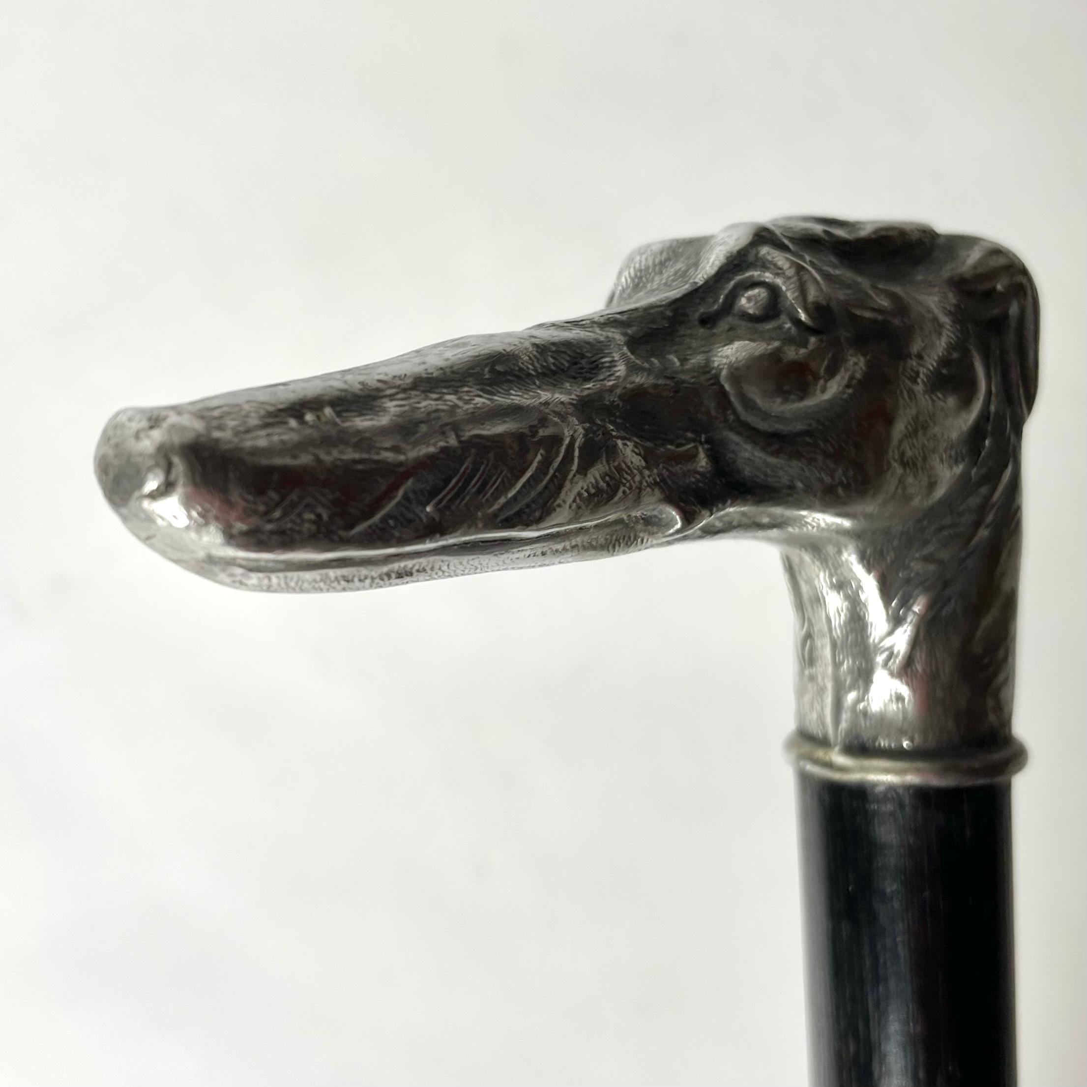 European Antique Walking Cane/Stick with Greyhound head in White Metal, late 19th Century For Sale