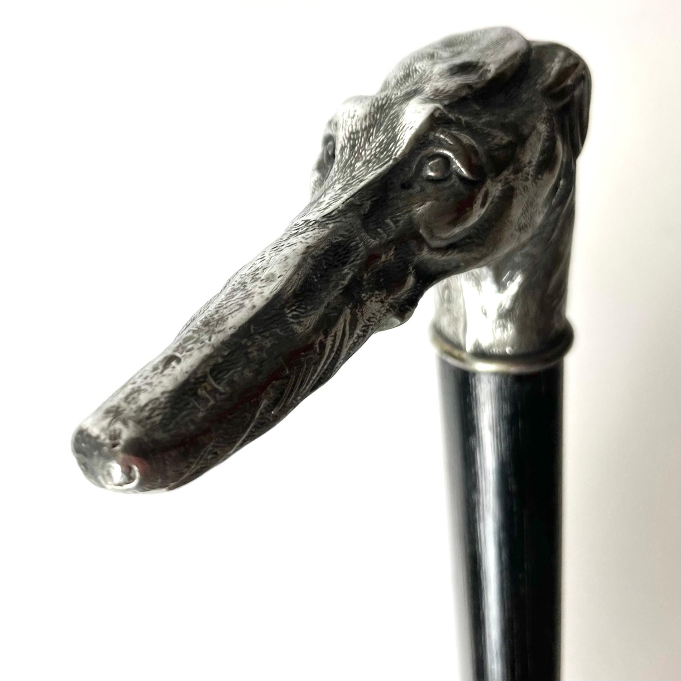 Antique Walking Cane/Stick with Greyhound head in White Metal, late 19th Century In Good Condition For Sale In Knivsta, SE