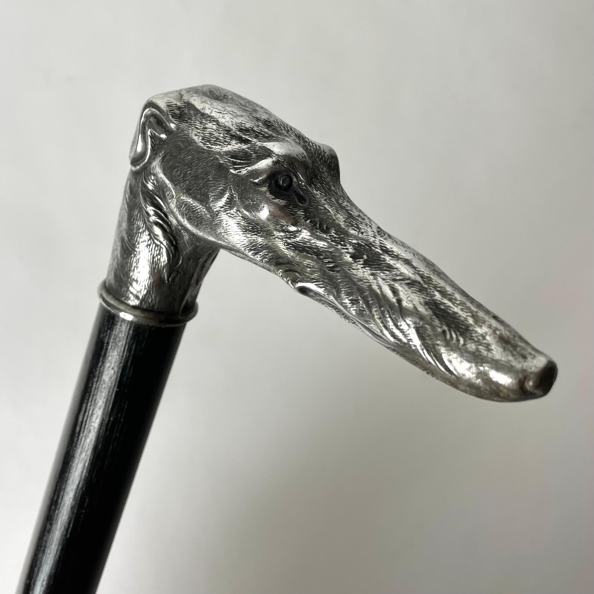 Wood Antique Walking Cane/Stick with Greyhound head in White Metal, late 19th Century For Sale