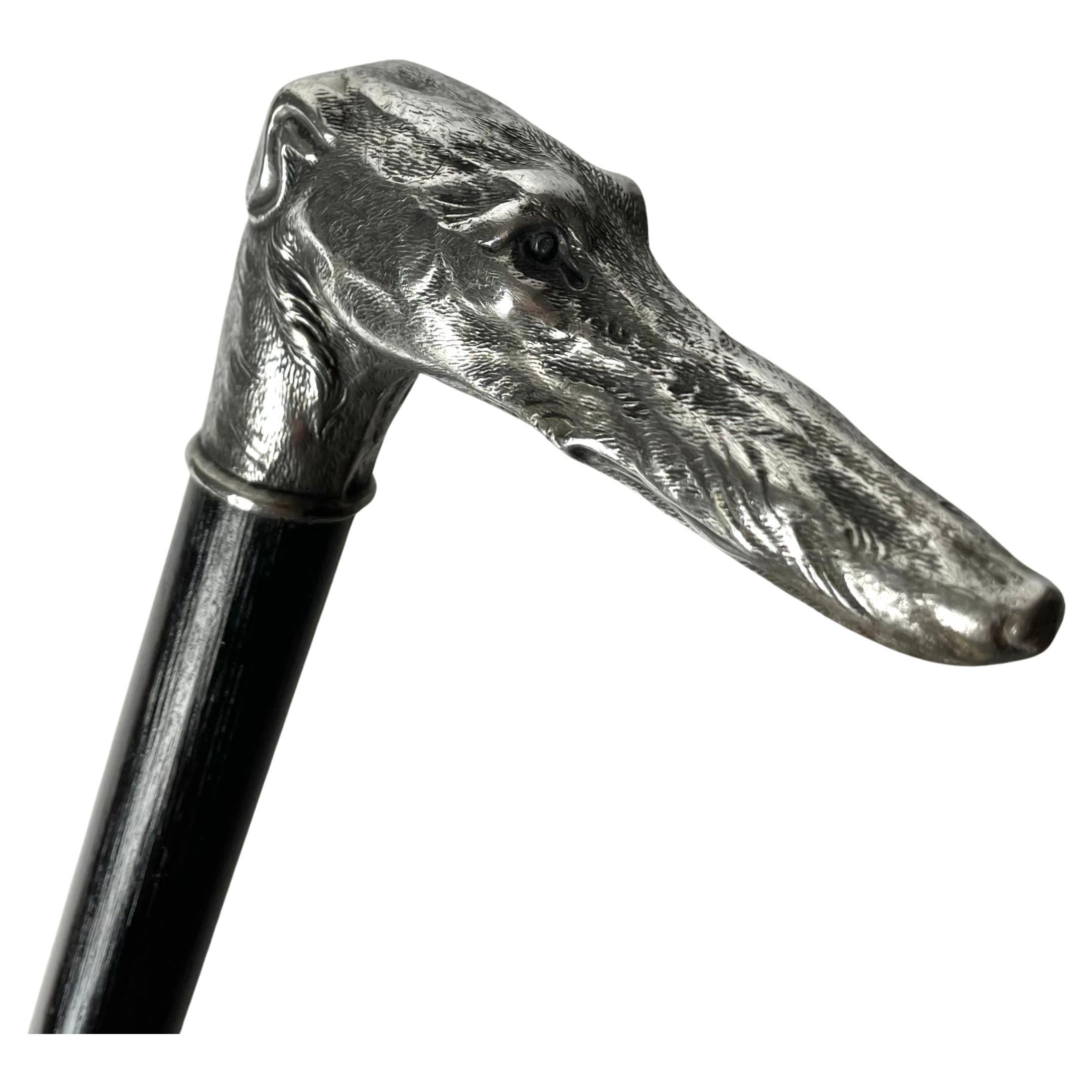 Antique Walking Cane/Stick with Greyhound head in White Metal, late 19th Century For Sale