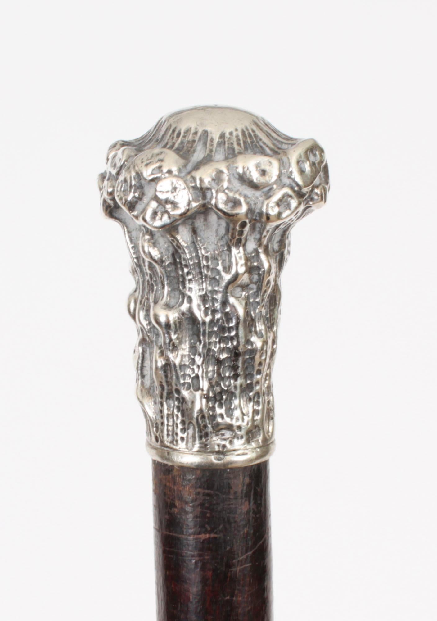 This is a beautiful antique  English silver plated pommel walking stick, circa 1880 in date.

The striking stick features an ornate silver plated ornate tree trunk pommel having on a gentle tapering ebonized shaft.

Add an extravagant element to