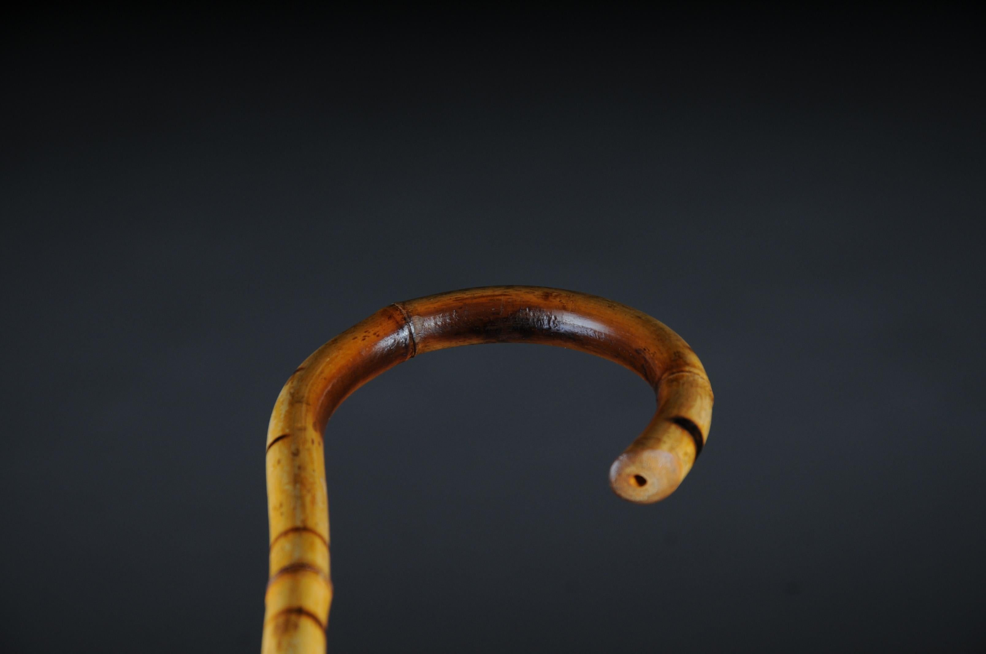 Antique Walking Stick / Cane, Germany with Around 1910 5