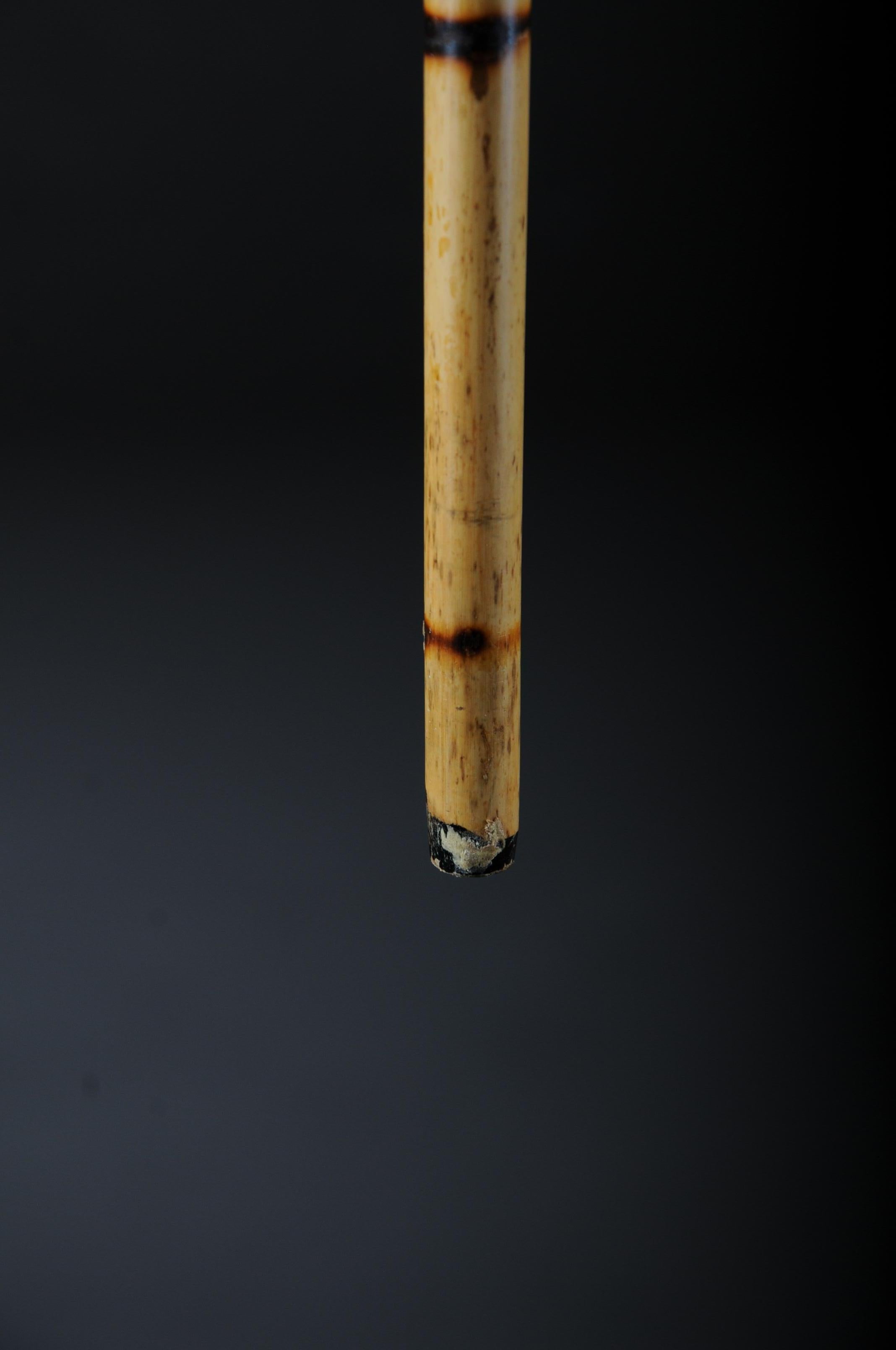 Antique Walking Stick / Cane, Germany with Around 1910 6