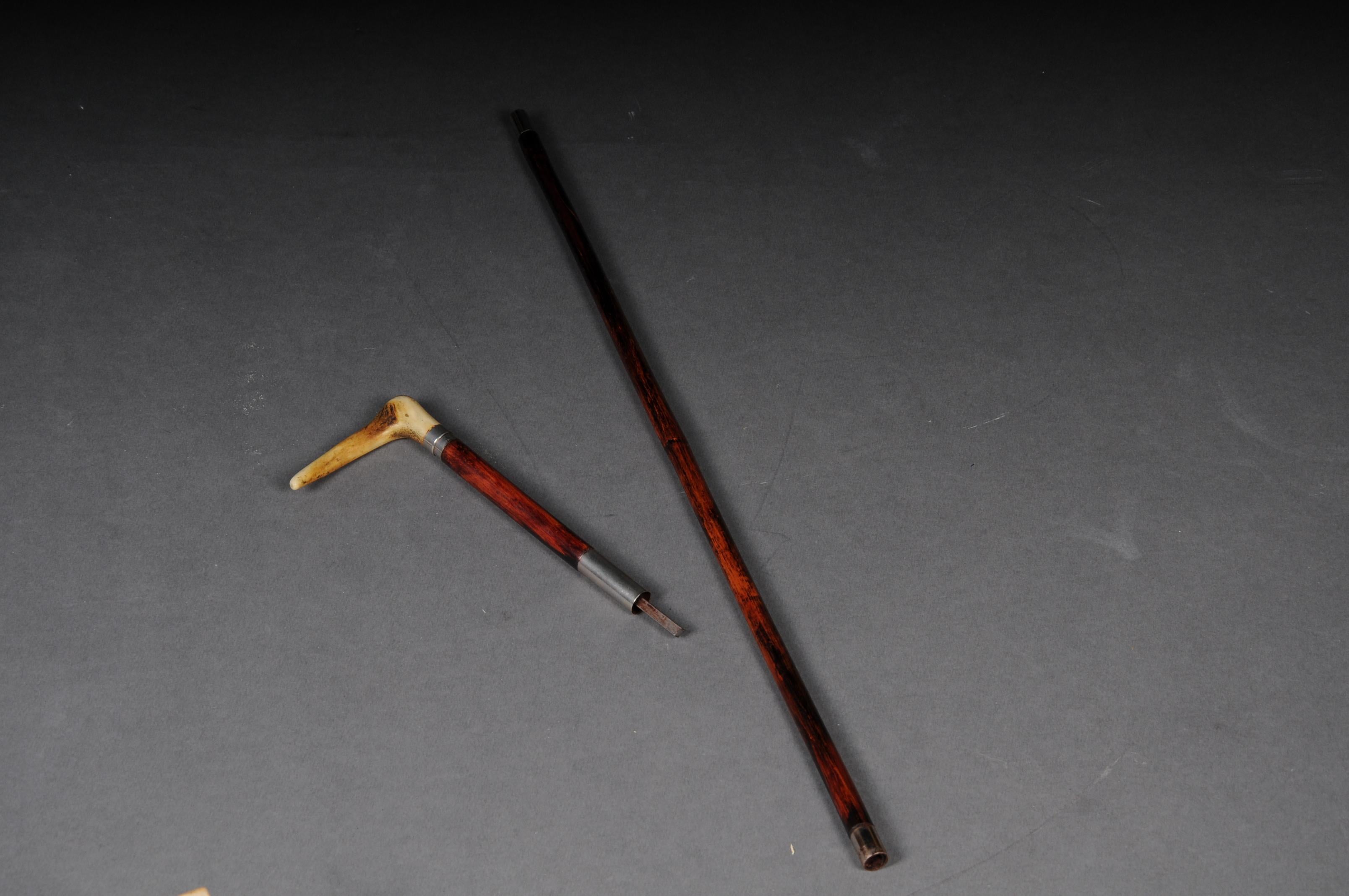 Antique Walking Stick/Cane, Germany with Around 1910 For Sale 10