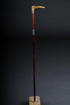 Antique Walking Stick/Cane, Germany with Around 1910