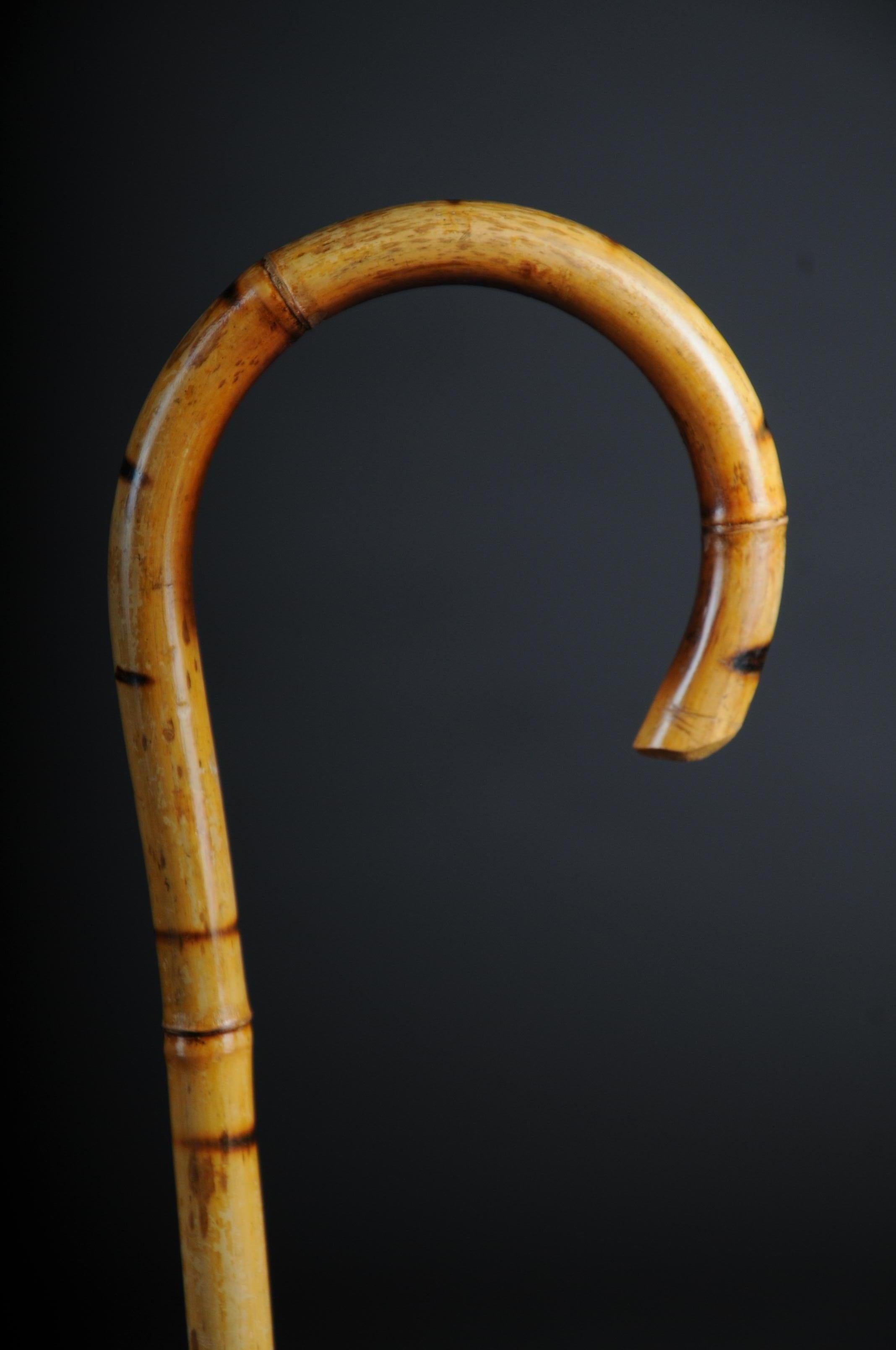 Antique Walking Stick / Cane, Germany with Around 1910 In Good Condition In Berlin, DE