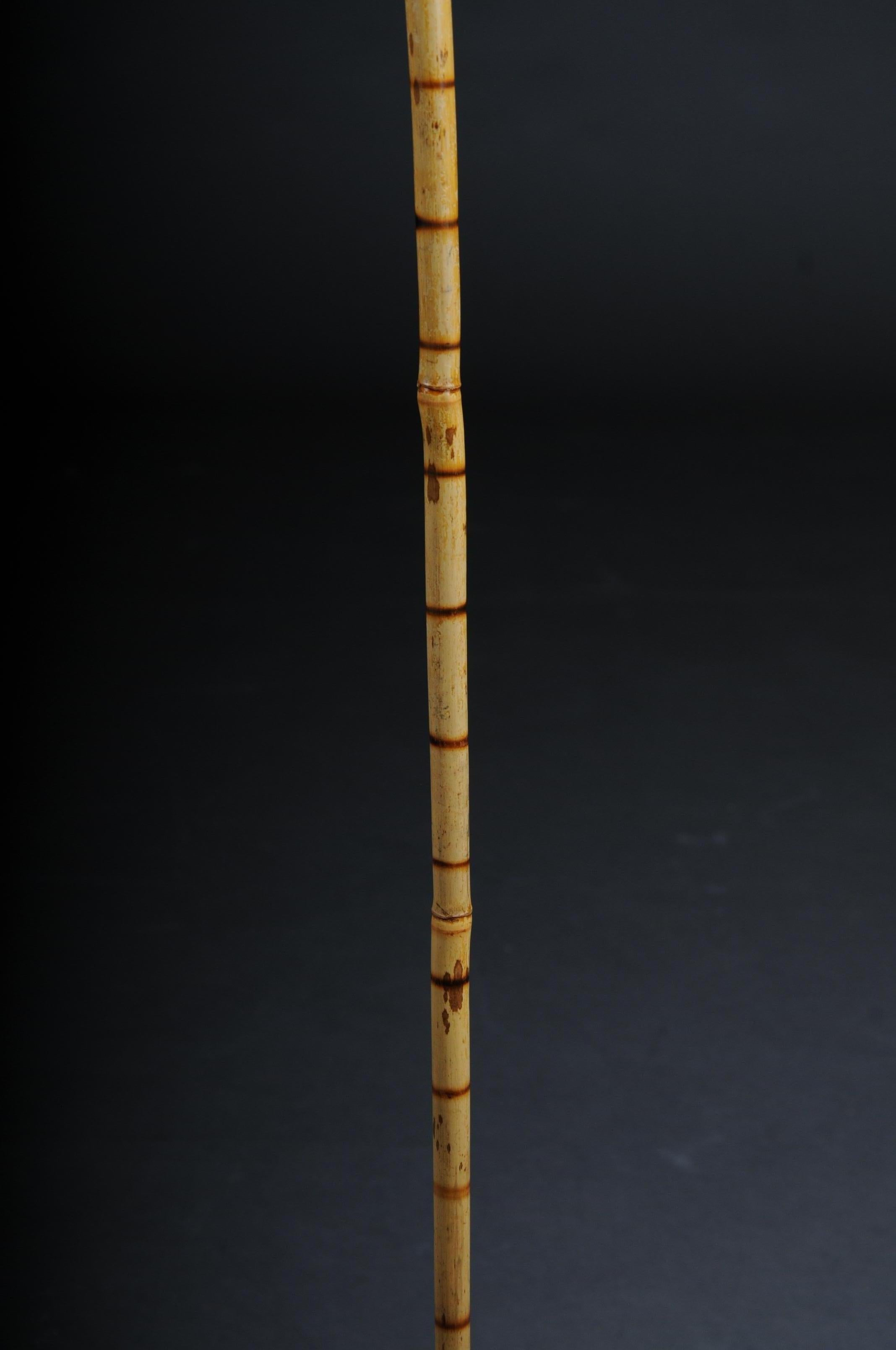 Early 20th Century Antique Walking Stick / Cane, Germany with Around 1910
