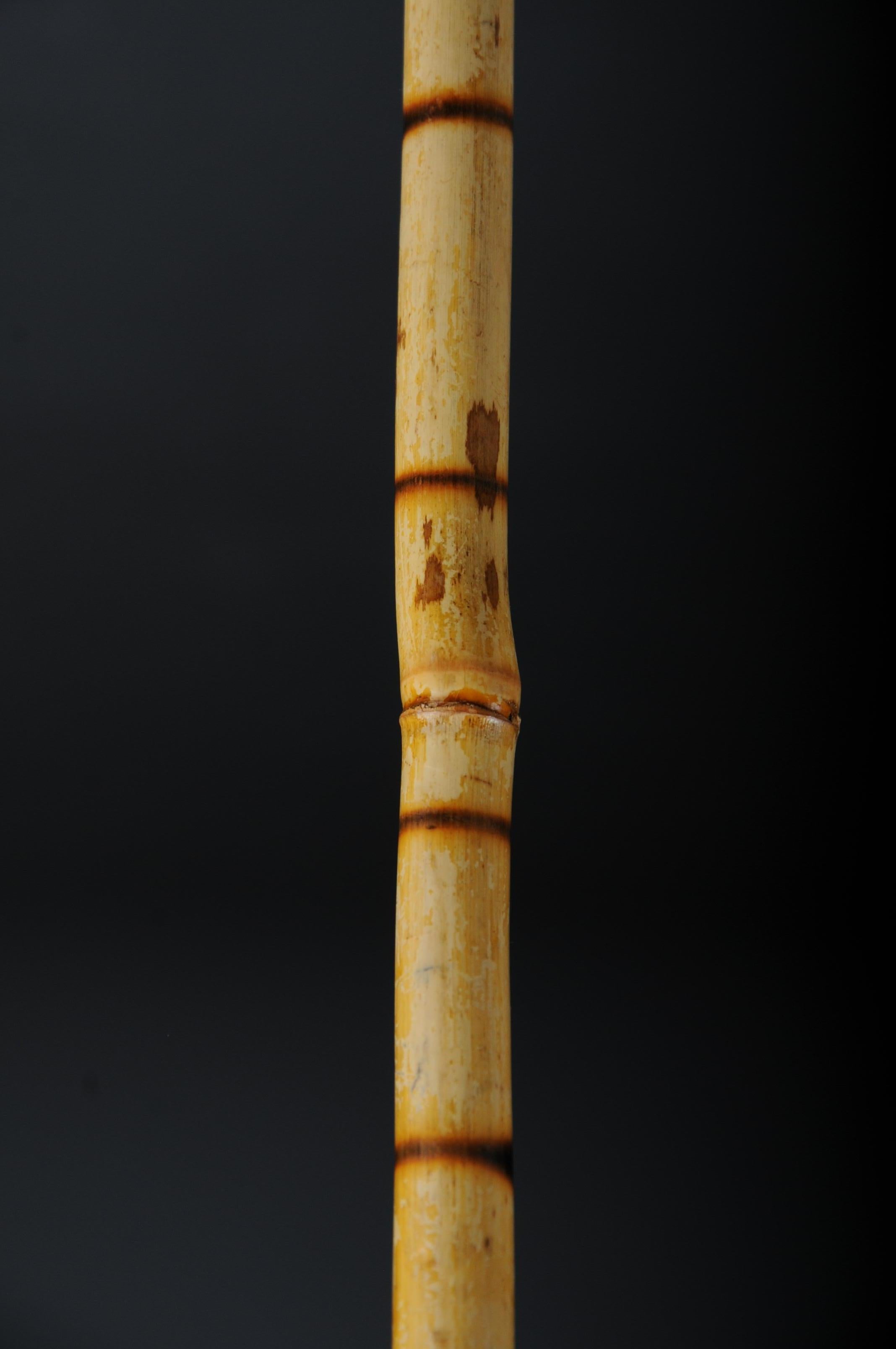 Wood Antique Walking Stick / Cane, Germany with Around 1910