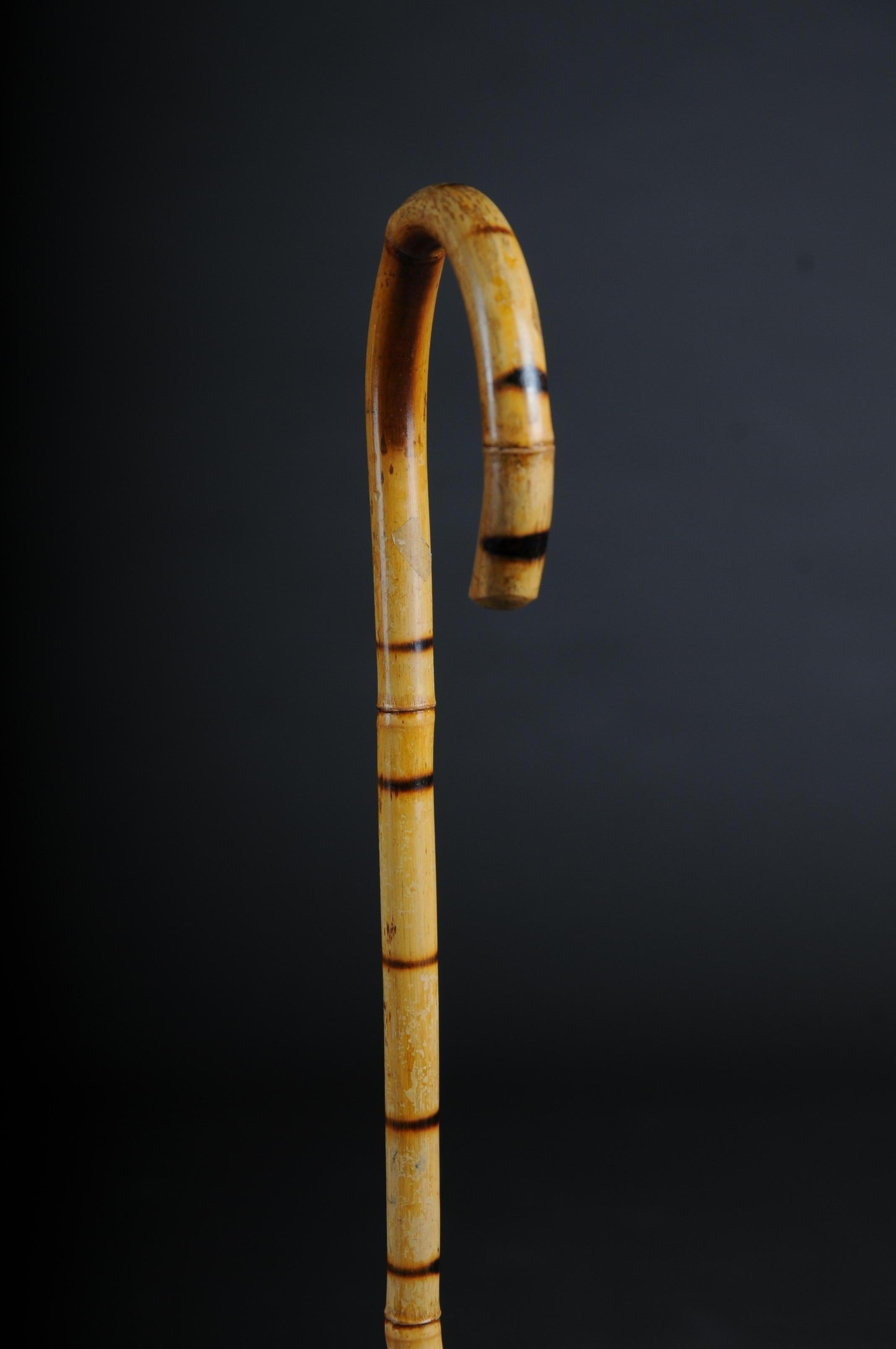 Antique Walking Stick / Cane, Germany with Around 1910 1