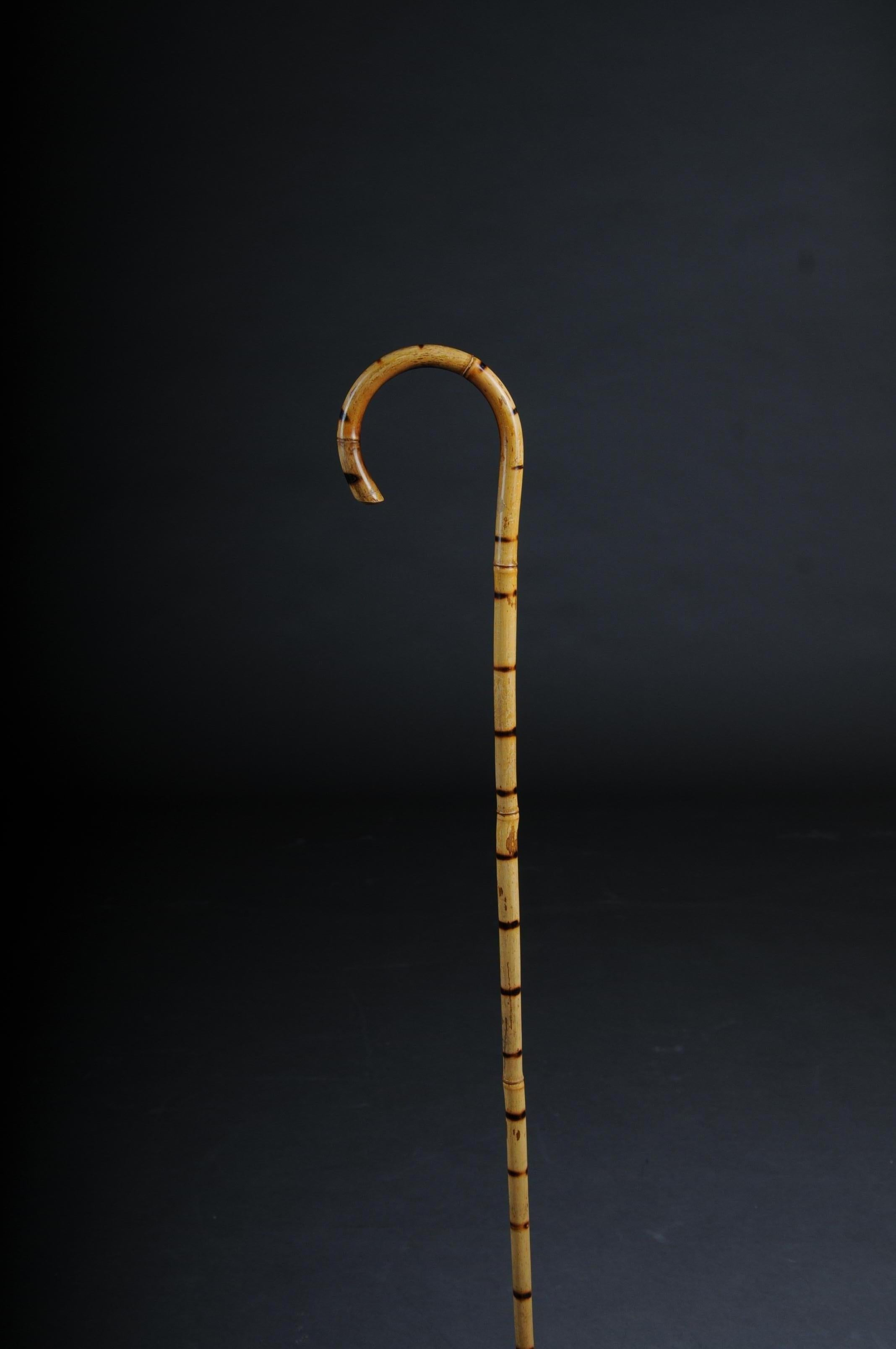 Antique Walking Stick / Cane, Germany with Around 1910 2