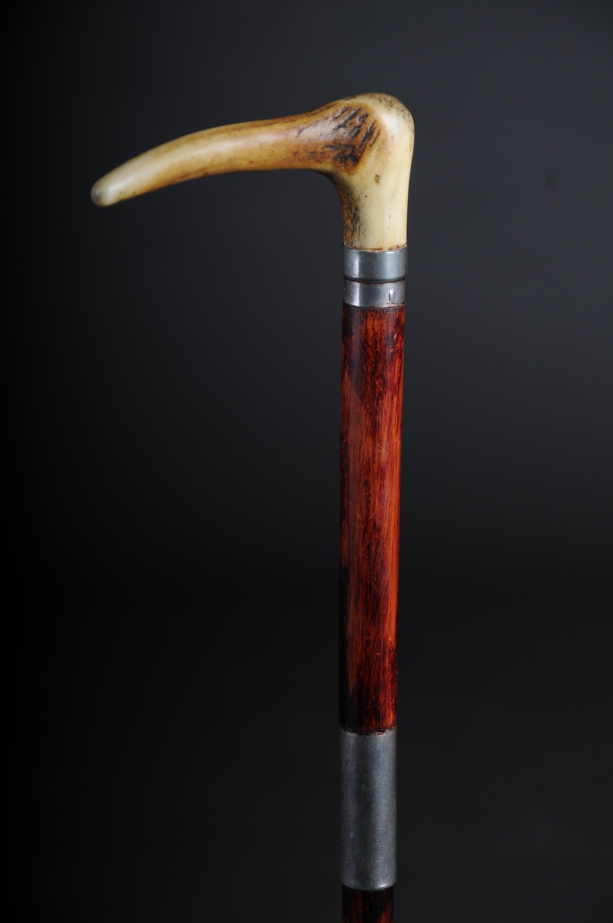 Early 20th Century Antique Walking Stick/Cane, Germany with Around 1910 For Sale